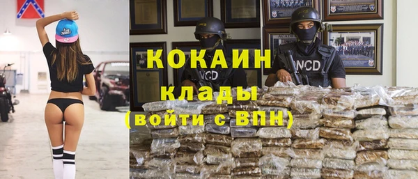 винт Пестово